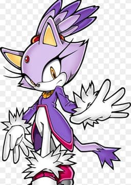 Blaze The Cat
