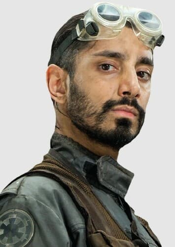 Bodhi Rook