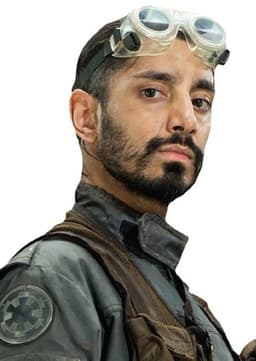 Bodhi Rook