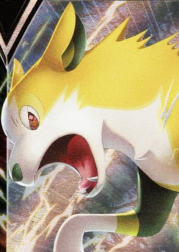 Boltund / パルスワン