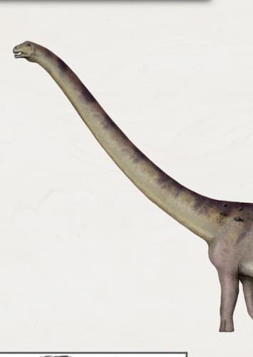 Borealosaurus