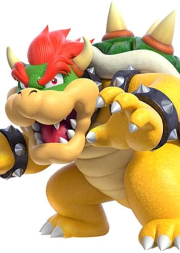 Bowser