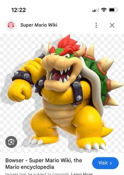 Bowser