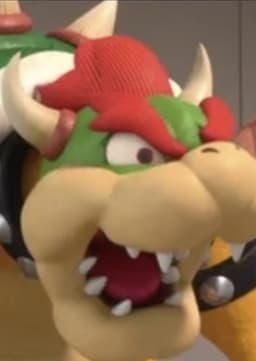 Bowser