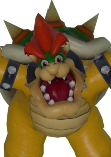 Bowser