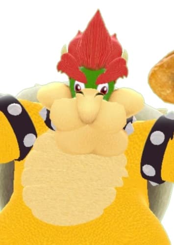 Bowser
