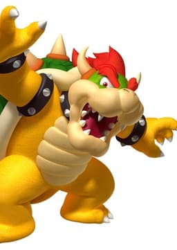 Bowser