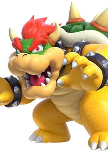 Bowser