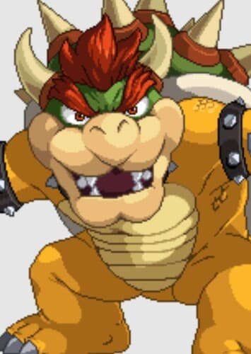 Bowser
