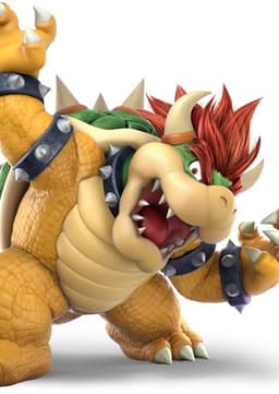 Bowser