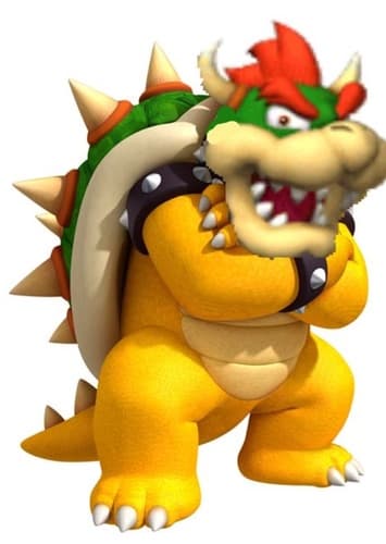 Bowser