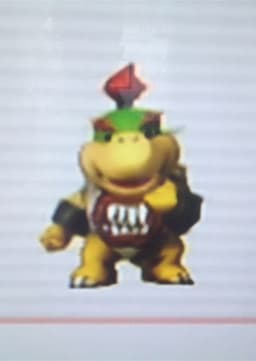 Bowser Jr