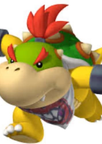 Bowser Jr