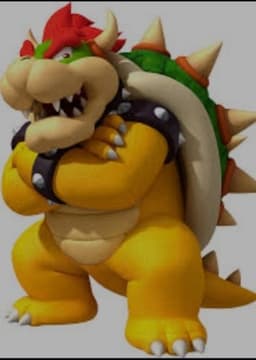 Bowser Kooper