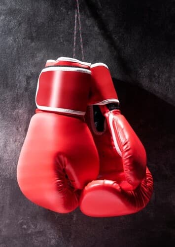 Boxing Gloves