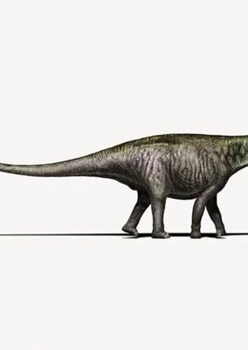 Brontosaurus