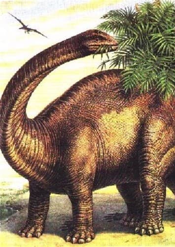 Brontosaurus