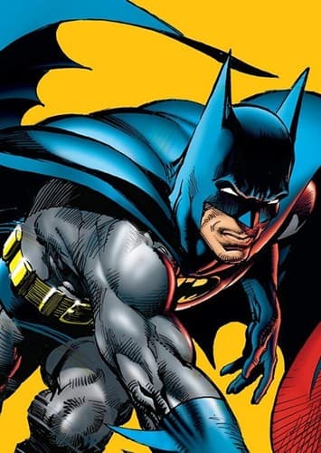 Bruce Wayne / Batman