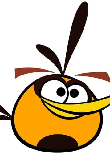 Bubbles The Orange Bird