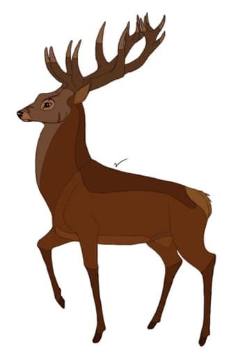 Buck Bambi