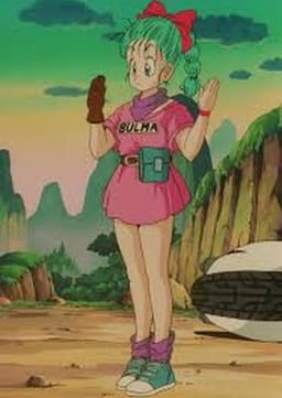 Bulma
