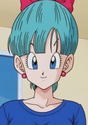 Bulma Briefs