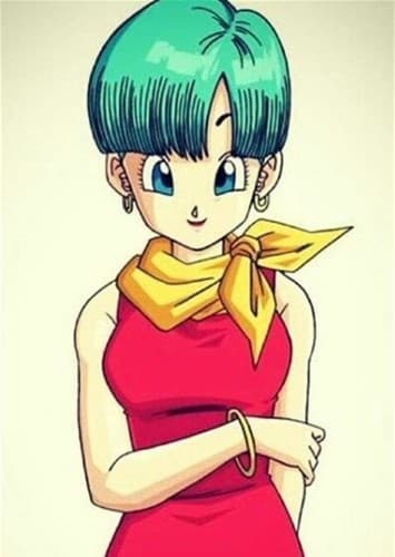 Bulma Briefs