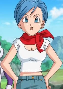 Bulma Briefs