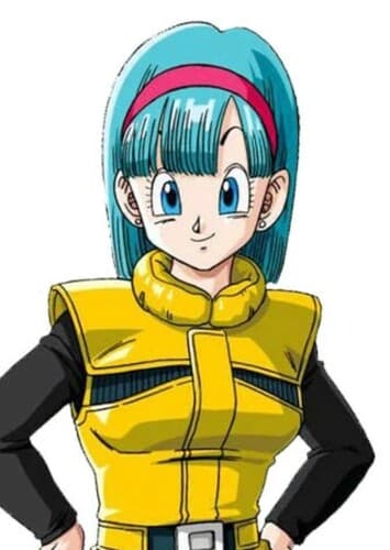 Bulma Briefs