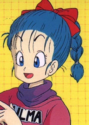 Bulma Briefs