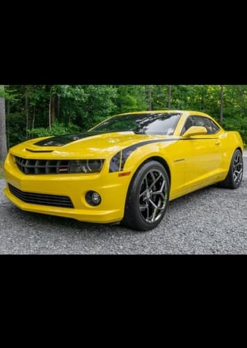 Bumblebee