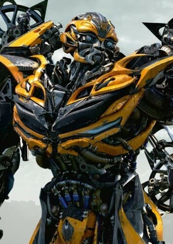 Bumblebee earth