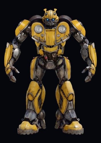 Bumblebee (past)
