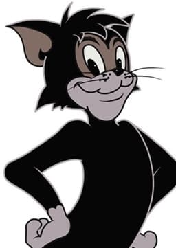 Butch The Cat