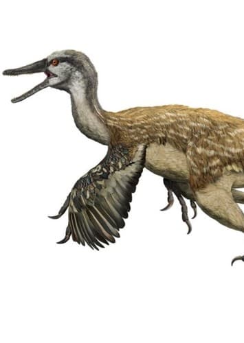 Byronosaurus