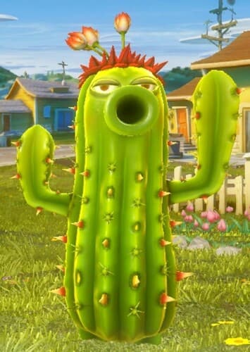Cactus