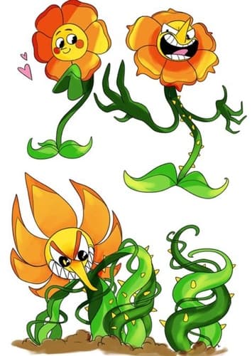 Cagney Carnation