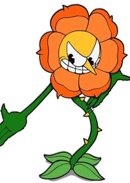Cagney Carnation