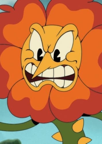 Cagney Carnation