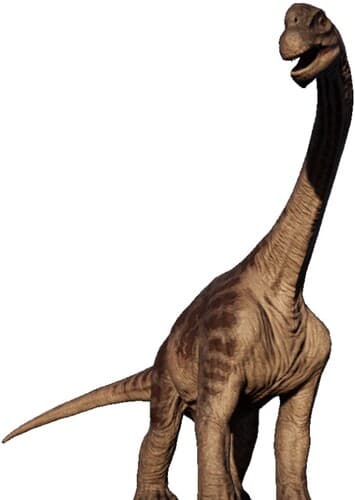 Camarasaurus
