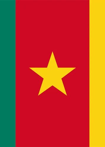 Cameroonian
