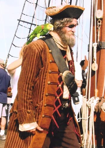 Captain Bart the Pirate