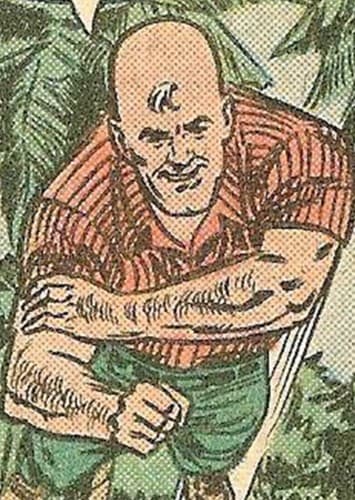 Captain Horatio Strong