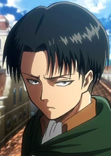 Captain Levi