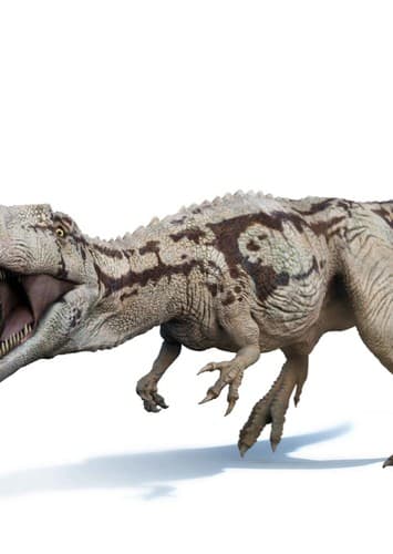 Carcharodontosaurus