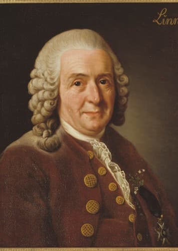 Carl Linnaeus