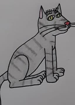 Carl the Cat