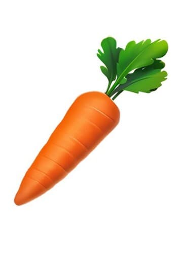 Carrot