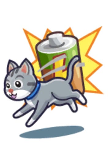 Cat + Dog: Frisky / Active