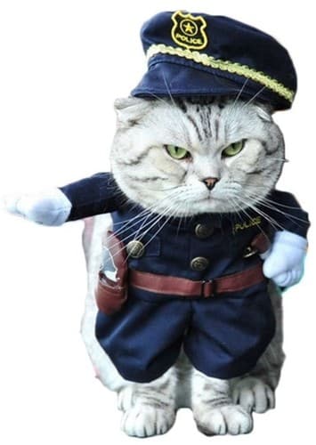Cat Police